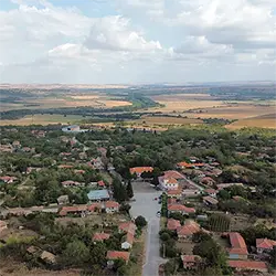 Полски Тръмбеш Изглед
