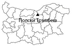 Полски Тръмбеш Полски Тръмбеш