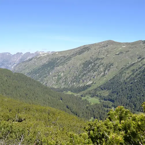 Присовски рид