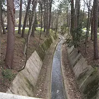 Р. Банкя, парк „Кестените“