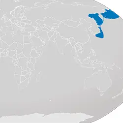 Разпространение Японски кит