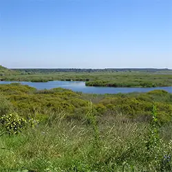 Резерватът „Сребърна“