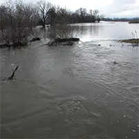 Река Блягорница в период на пълноводие