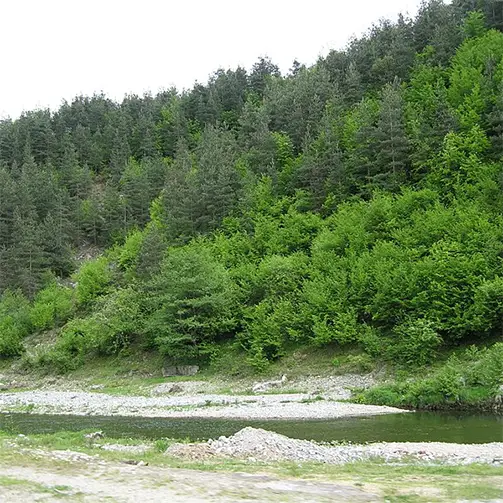 Река Върбица