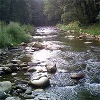 Река Доспат край Туховища, ляв приток на река Места