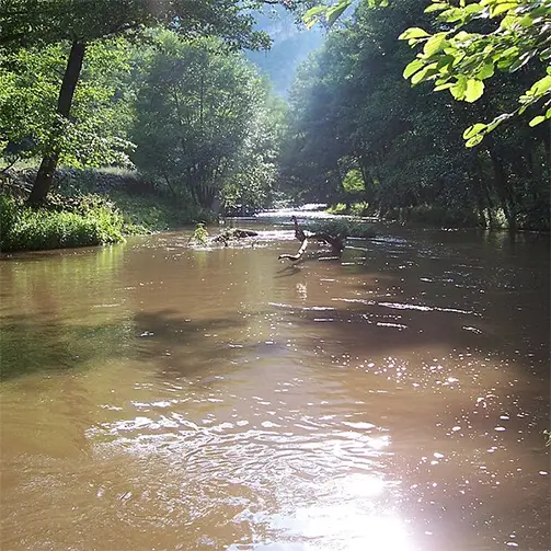 Река Доспат