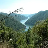 Река Места, протичаща през Западните Родопи