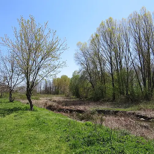 Река Пясъчник