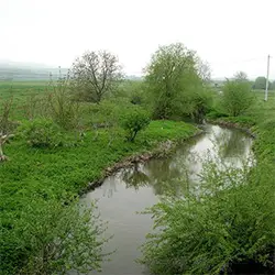 Река Сазлийка в село Ракитница