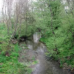 Река Сазлийка преди село Елхово