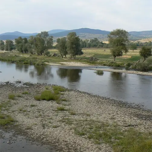 Река Тополница