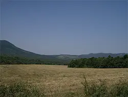 Седловината между Върбишка и Драгоевска планина