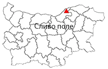 Сливо поле Местоположение