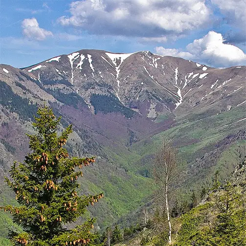 Троянска планина