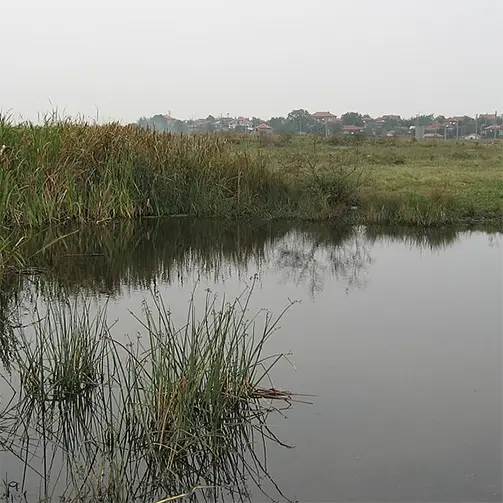 Харманлийска река