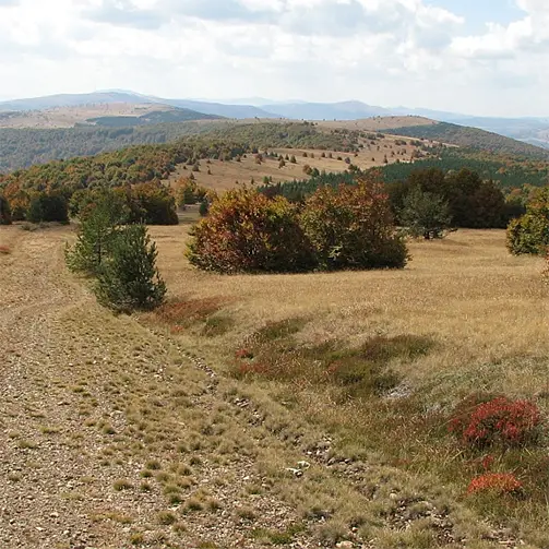 Царичка планина