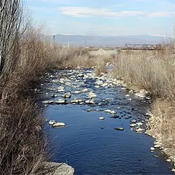 Чепинска река