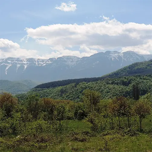 Чипровска планина