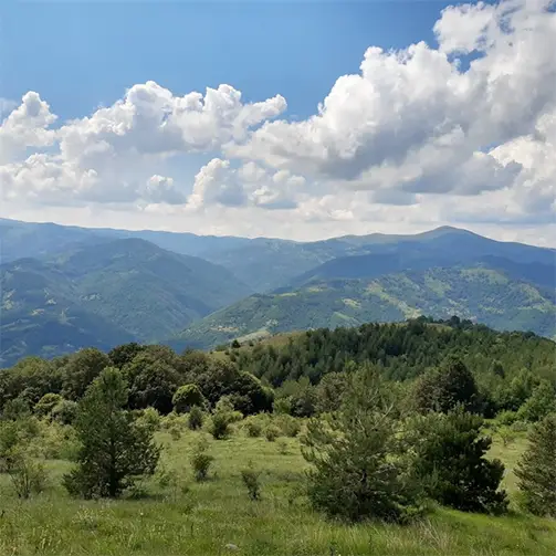 Чудинска планина