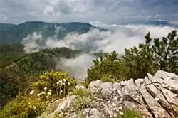 резерват „Червената стена“