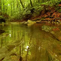 резервата „Силкосия“