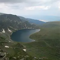 Бъбрека