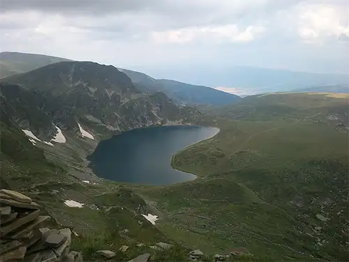 Бъбрека