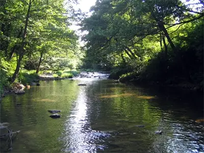 Бебровска река