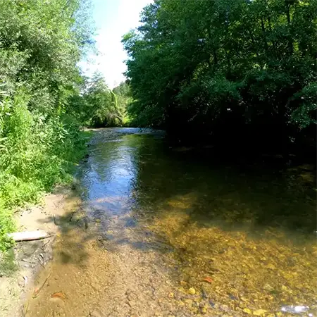 Бела Места