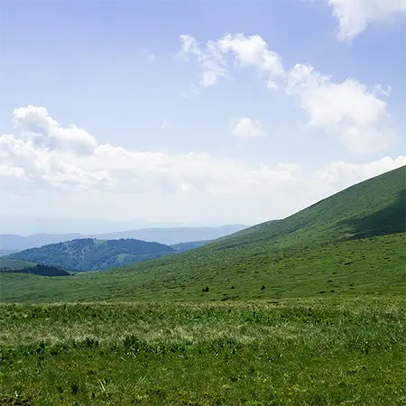 Берковска котловина