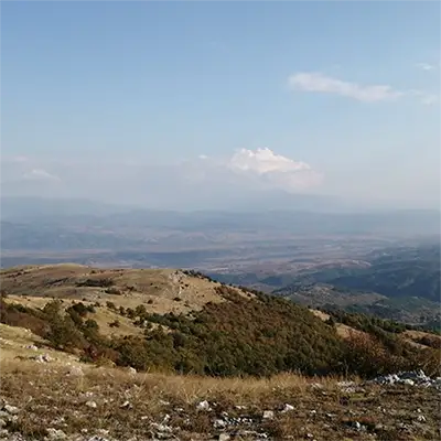 Бобошевско поле