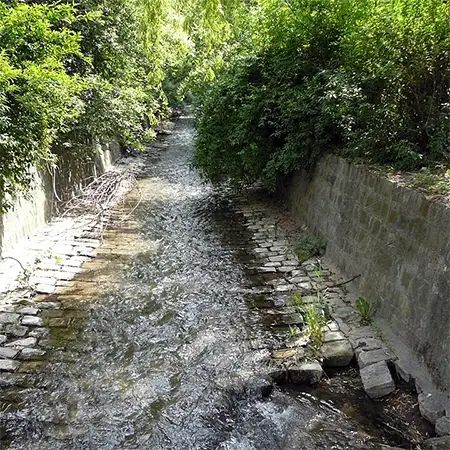 Боянска река