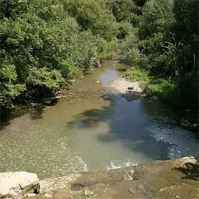 Брестова река