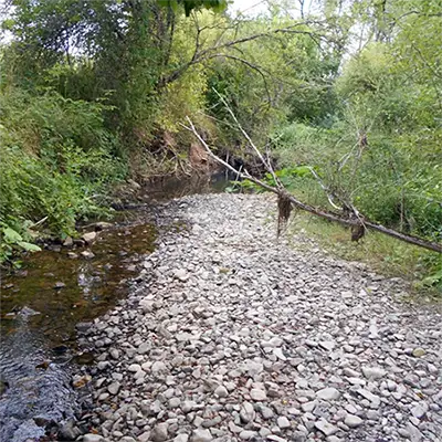 Брезнишка река