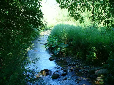 Буновска река