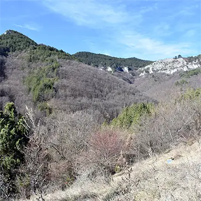 Черновръшки рид