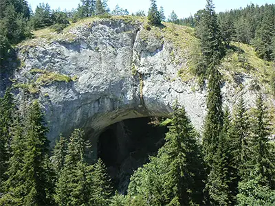 Чудните мостове