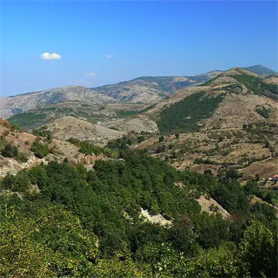 Чуката (рид)