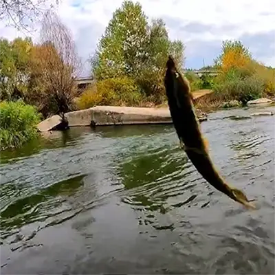 Габерска река