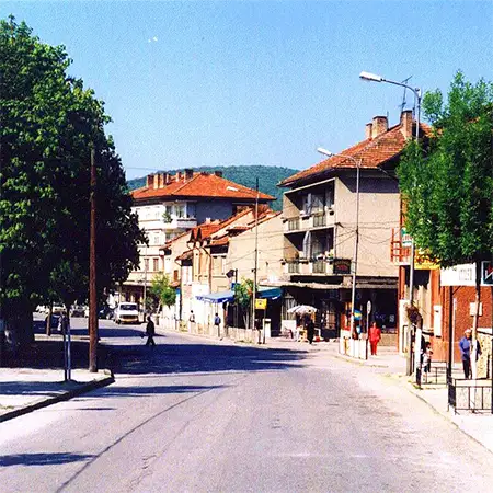 Дебелец