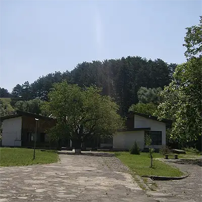 Град Върбица