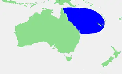 Коралово море