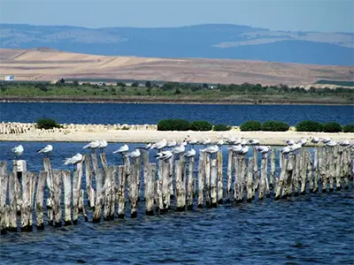 Поморийско езеро