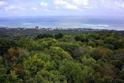 Природен парк „Златни пясъци“