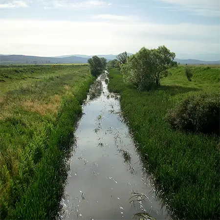 Река Арката
