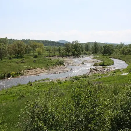 Река Бързия