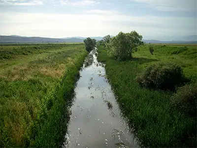 Река Арката