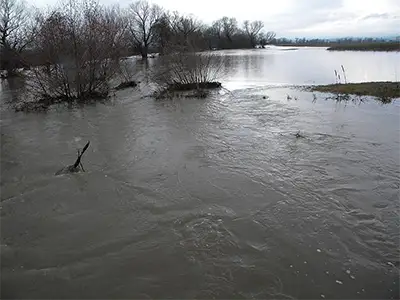 Блягорница