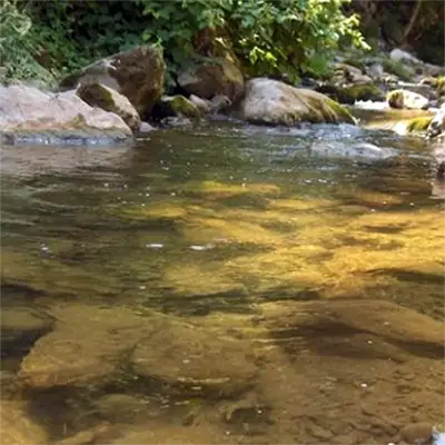 Река Въртешница