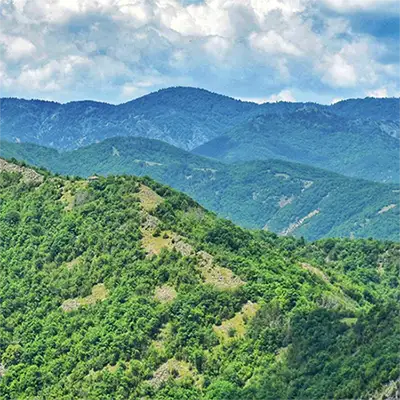 Шивачевски рид